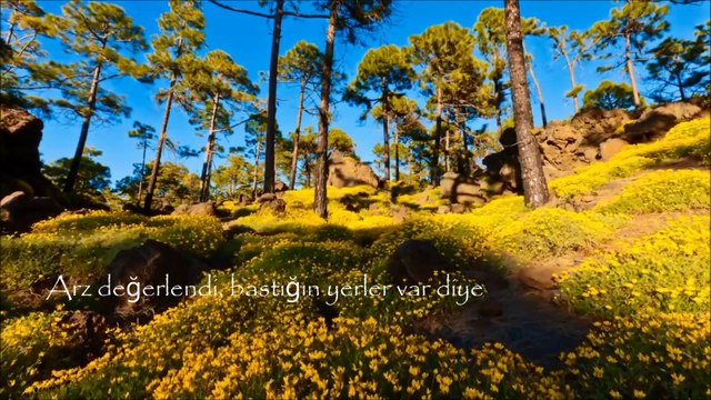 En güzel rüyam , Ya Rasulallah,. Ateş Mustafa Şengül ( Naat -ı Şerif ) Kendi sesinden ...