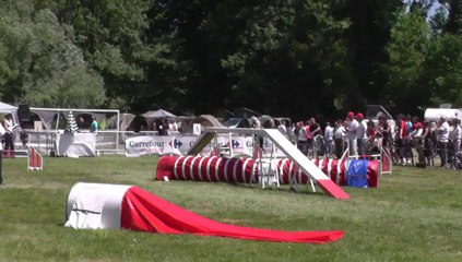 Auption Sélectif Trophéé Cibiens M3