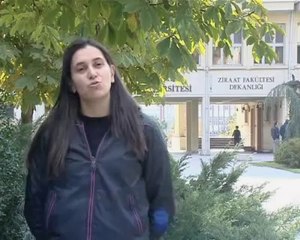 Peyzaj Mimarlığı Bölümü