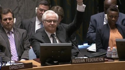 Russia, China veto U.N. bid to refer Syria to International Criminal Court