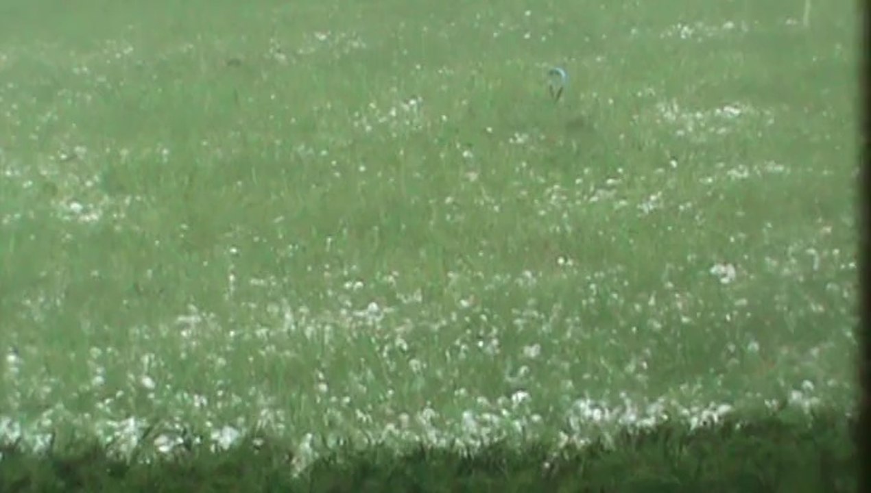Hail Storm III