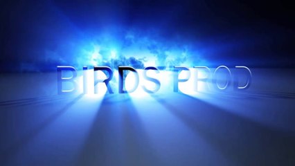 Showreel - Hiver & Printemps 2014