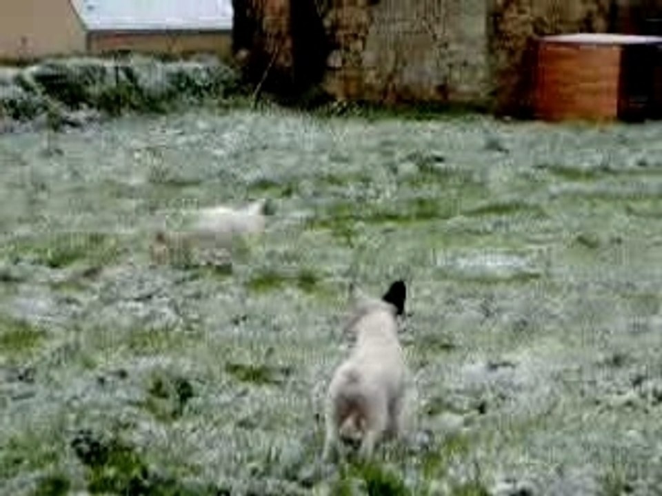 25012007 015