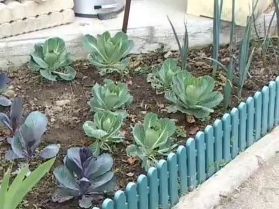 village en auto construction écologique à Emmaüs Lescar-Pau v1