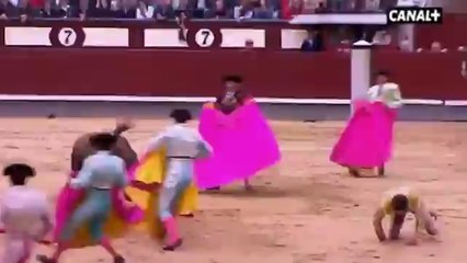 #ICYMI: Bullfight canceled after three gored