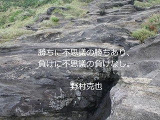 山川秀史（経営コンサルタント）の「古今東西名言集」～野村克也～