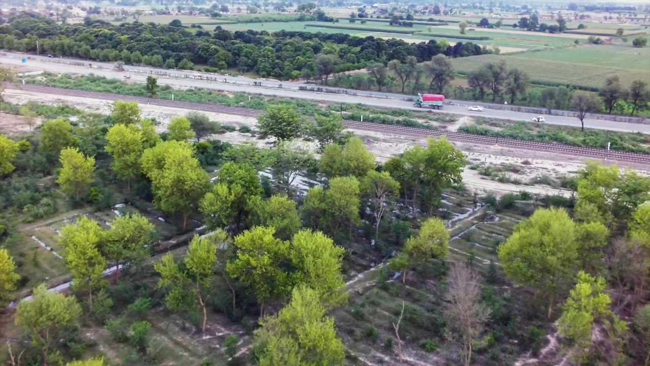 Chichawatni Man-Made forest.