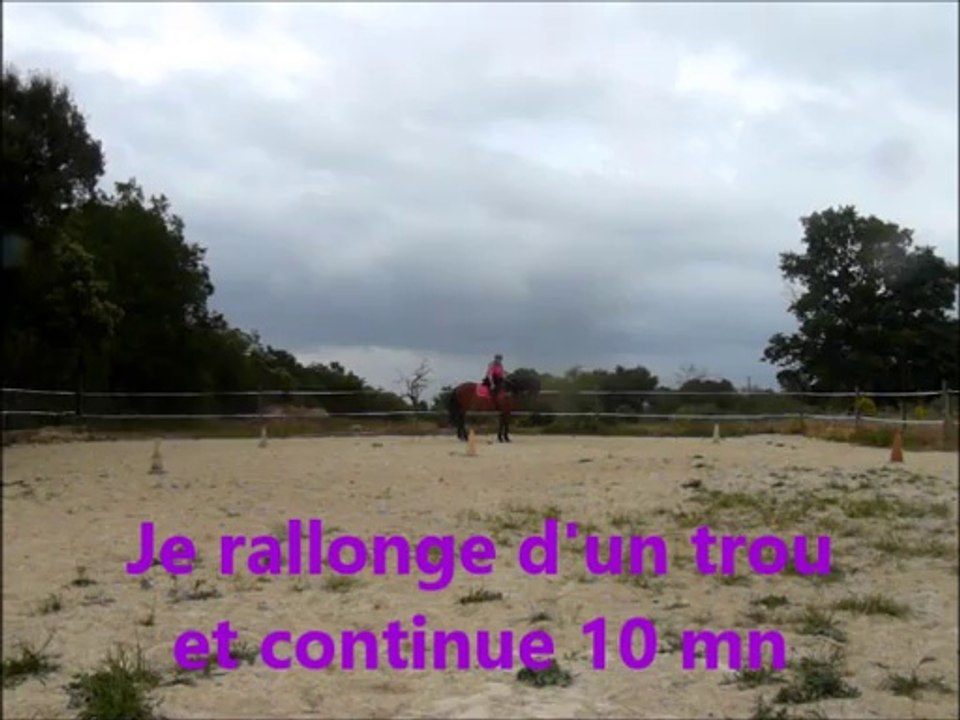 Tchija 22.05.14 les plots