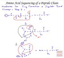 Amino Acid Sequencing of a Peptide Chain, 3