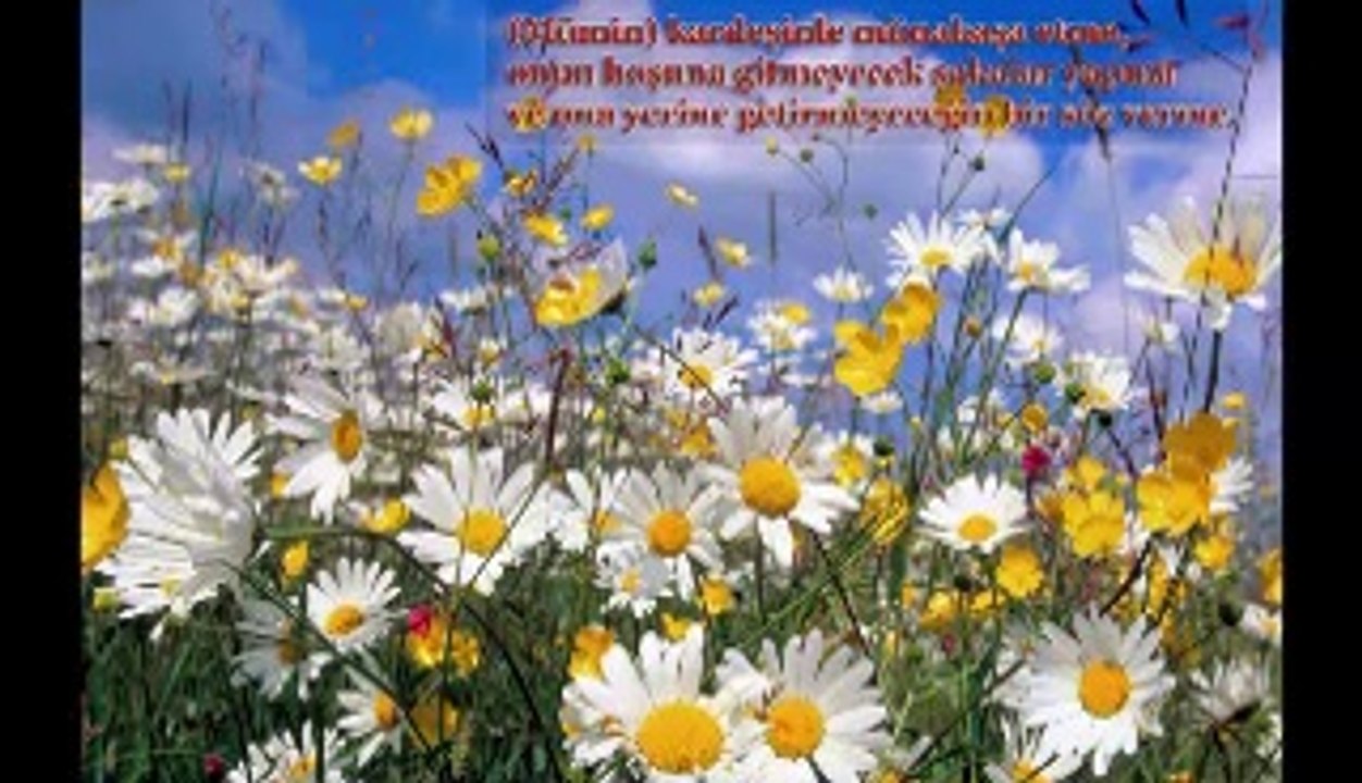 avrupada ramazan_4