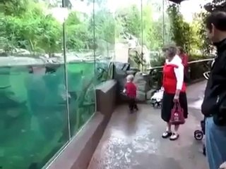 Boy Gets Chased By Fish