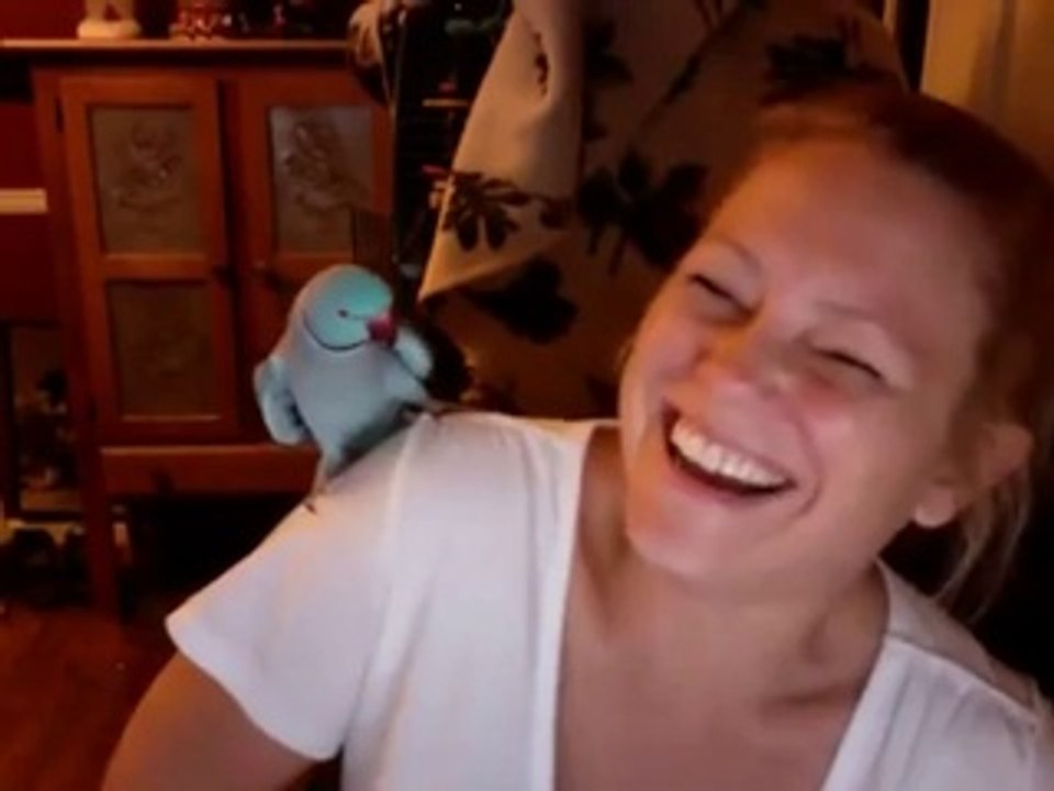 So hilarious parrot and his mum playing hide an...