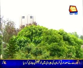 Islamabad; Hot & dry weather likely today