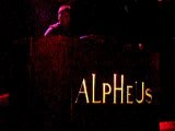 ALPHEUS 015