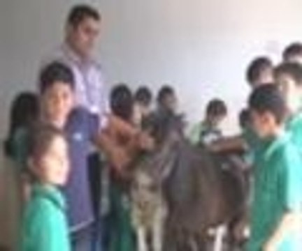 Okula hayvanat bahçesi kurdular