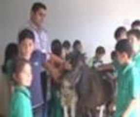 Okula hayvanat bahçesi kurdular