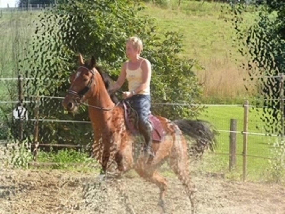 Sann et Taldo