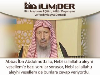 Cehaletle Allah'tan Başkasına İbadet Edenin Hükmü Nedir?