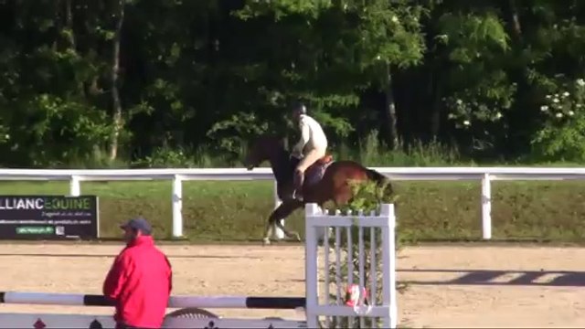 Ariane CC 4ans qualif - le lion d'angers