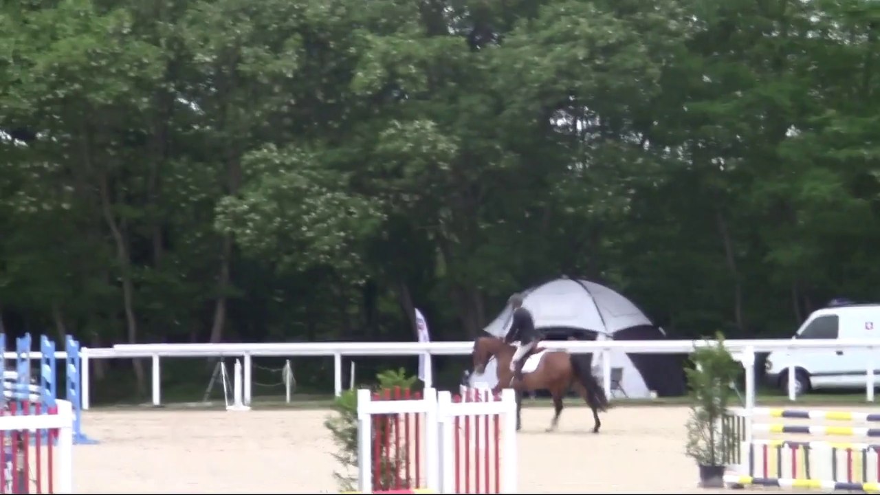 Amstrong CC 4ans qualif - Le Lion d'Angers