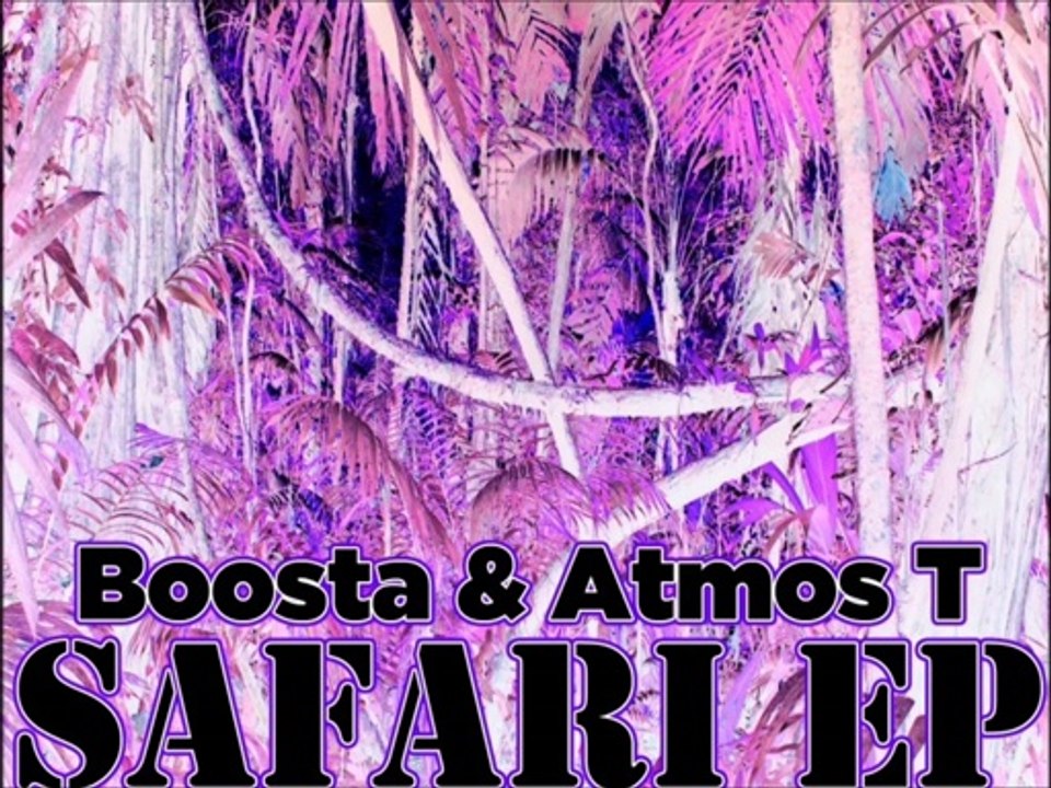 boosta & atmos t _ coffin dodger (muzik hertz recordings _ 2013)