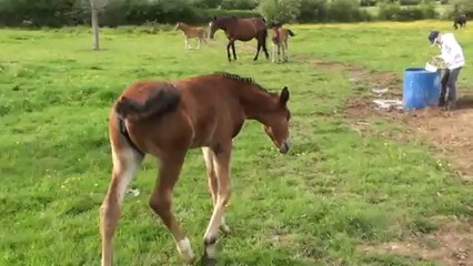 Ellisa Queen et sa Mère Rikika Bella : Découvrez leur lien unique