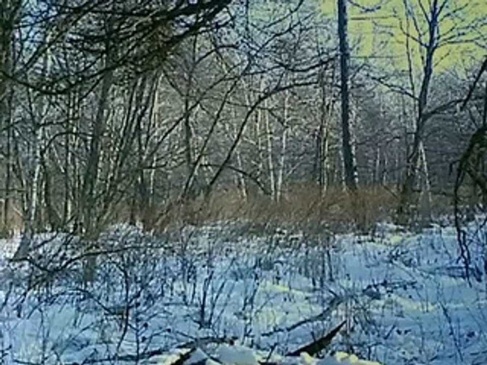 ปฏิบัติการเสือแห่งแดนหิมะ ตอนที่2 21May14