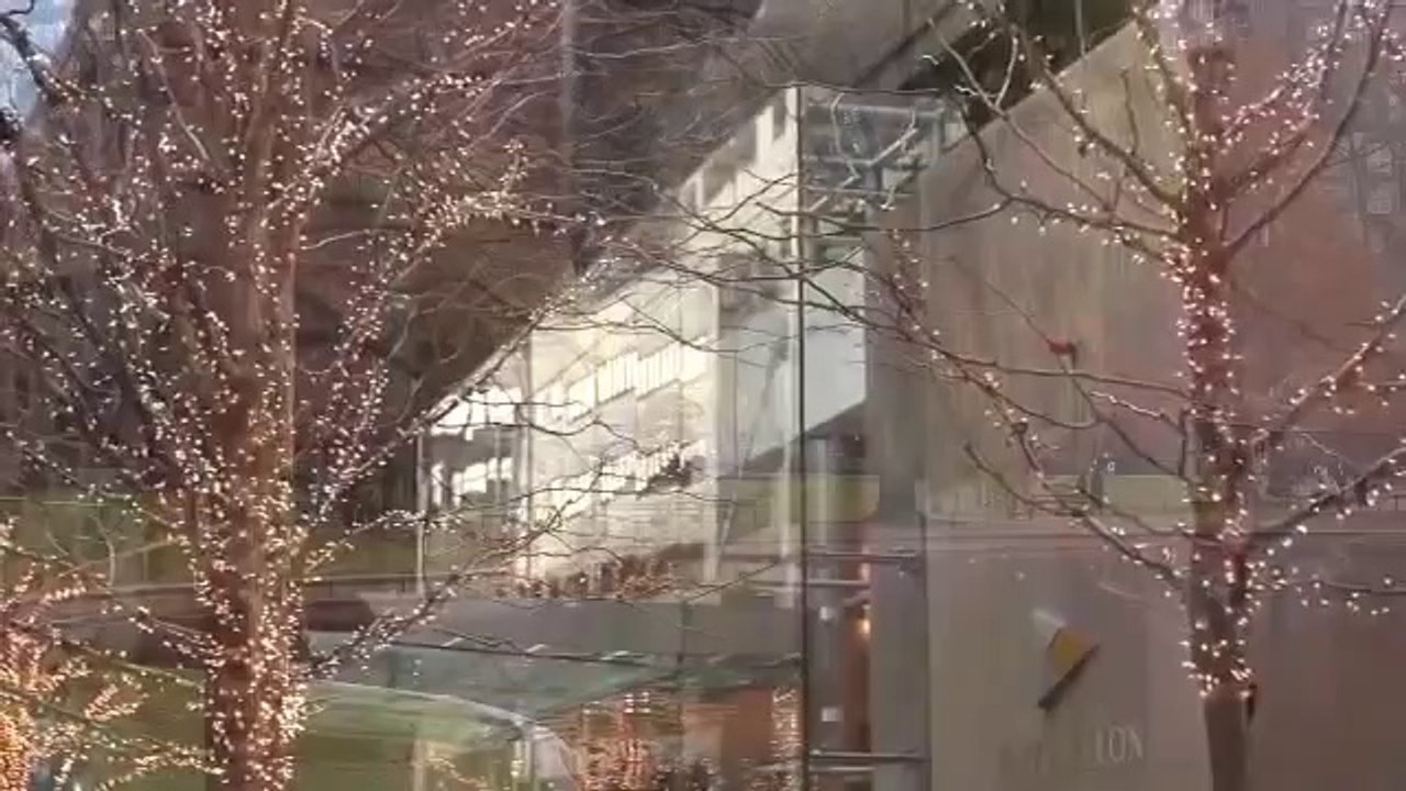 Howard Davidson, Arlington MA - Video of Boston, MA