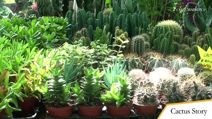 Cote Sud / Déco & objets