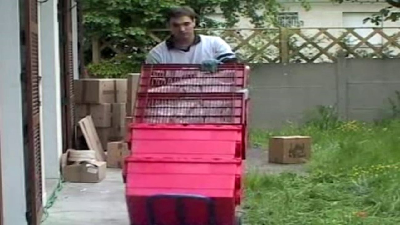 Déménager : lex cartons