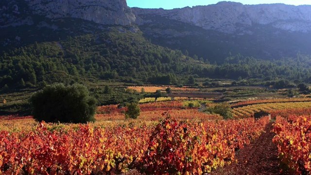 Jean-Philippe Nuel : Le Sud me parle