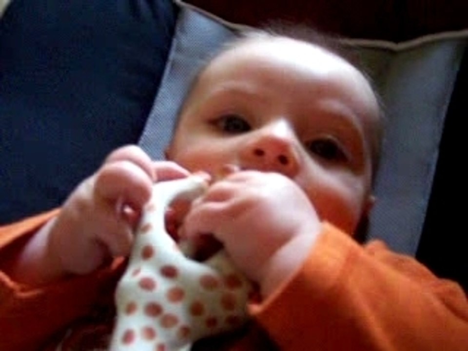 SOPHIE LA GIRAFE