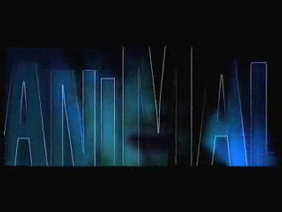 Animal