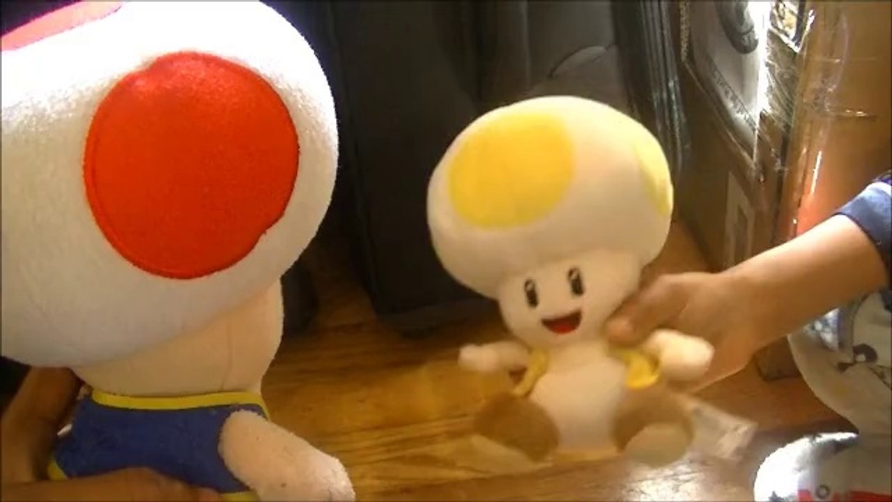 Toad's Video Game