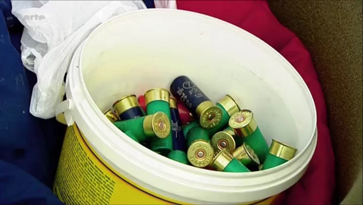 Programmes de protection de la faune en Corse