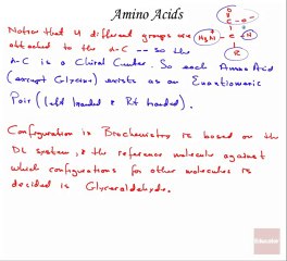 Amino Acids, Biochemistry part 2