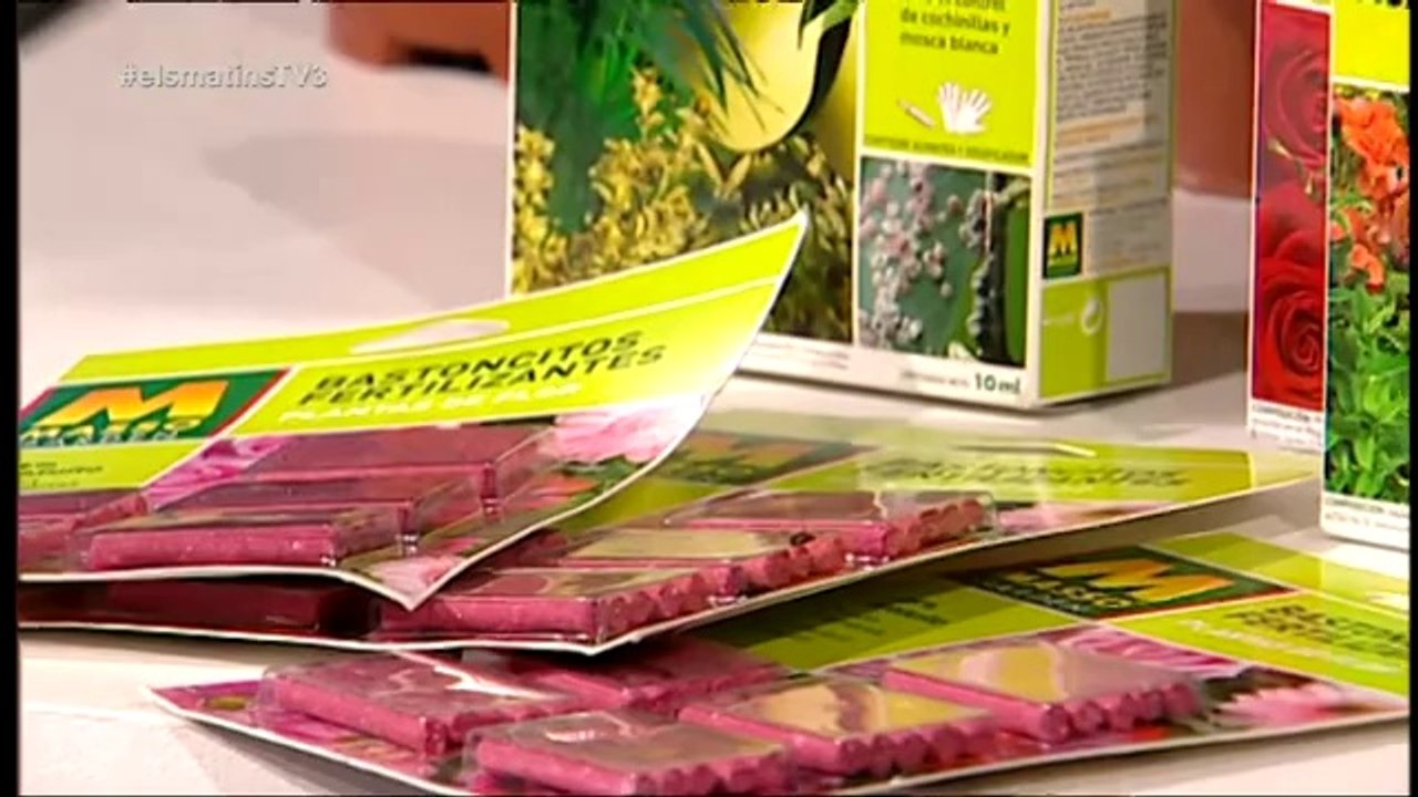 TV3 - Els Matins - Les plantes que estimen la terra àcida