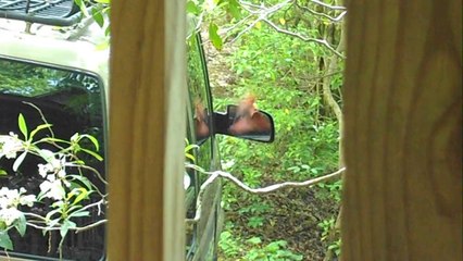 Kramer talking to himself