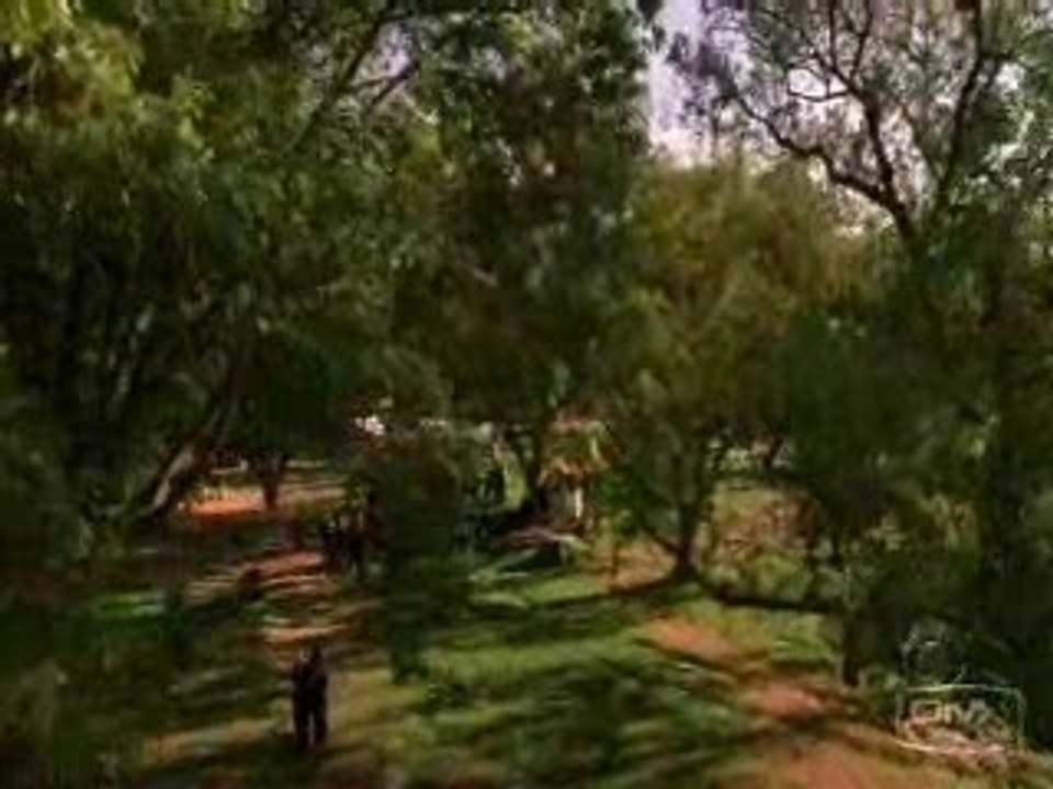 Tony and kate (ncis)