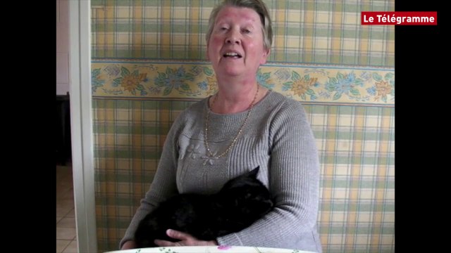 Pont-l’Abbé. Ola, plus vieux chat du monde ?