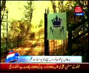 Five-star hotel for pets in Britain