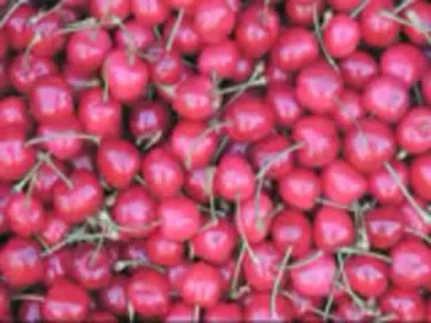 TOKAT TARİH ,KÜLTÜR,EKONOMİ BELGESELİ