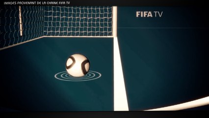 La technologie sur la ligne de but, Ruffier numéro 2... En route vers le Mondial !