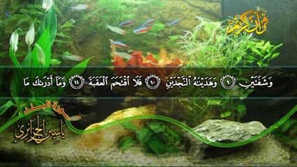 سورة البلد بصوت القارئ ياسين الجزائري