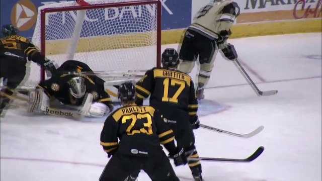 Amazing NHL GOAL by Brian Gibbons.