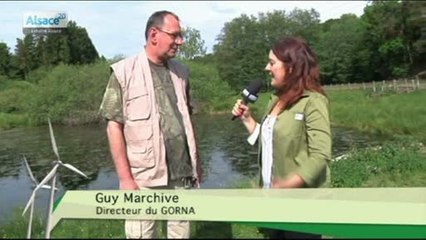 Hebdo DD : Le développement durable en Alsace (21/05/13)