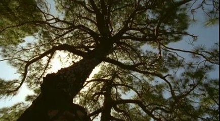 Walking with Monsters 03