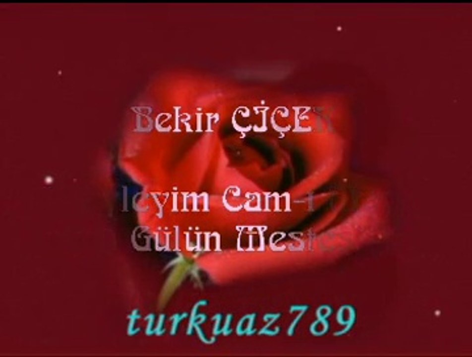 Bekir ÇİÇEK-Neyleyim Cam-ı Meyi Ben O Gülün Mestesiyem