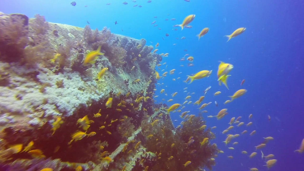 S.S.Thistlegorm