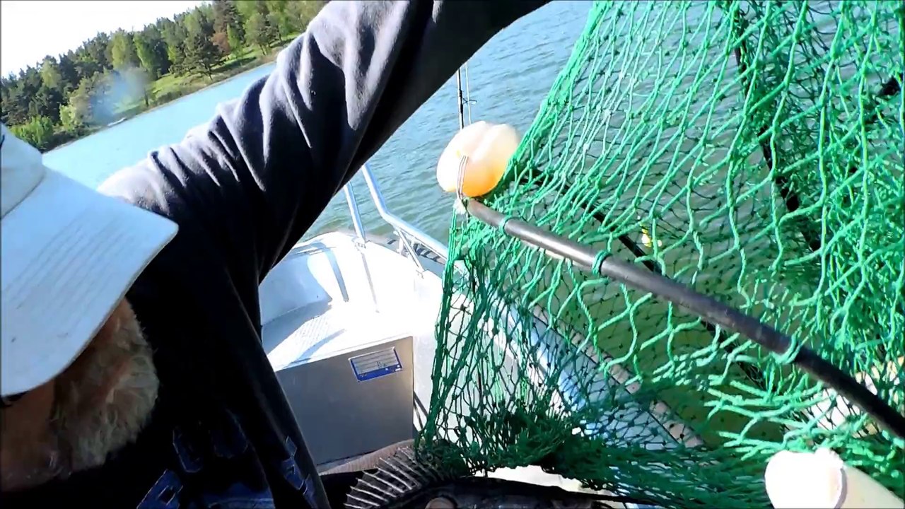 SUDAK AVIM  23.5.2014